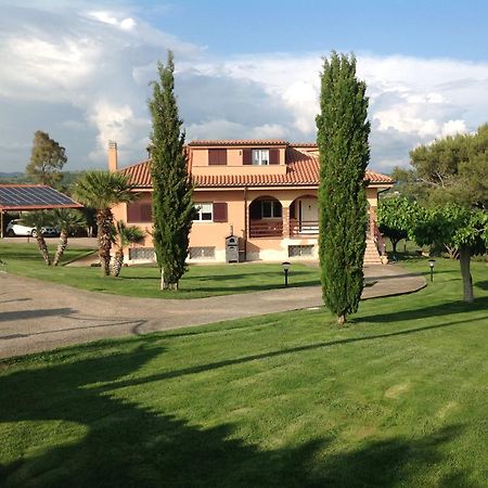Bed&Breakfast La Volpe e L'Uva Santa Marinella Extérieur photo