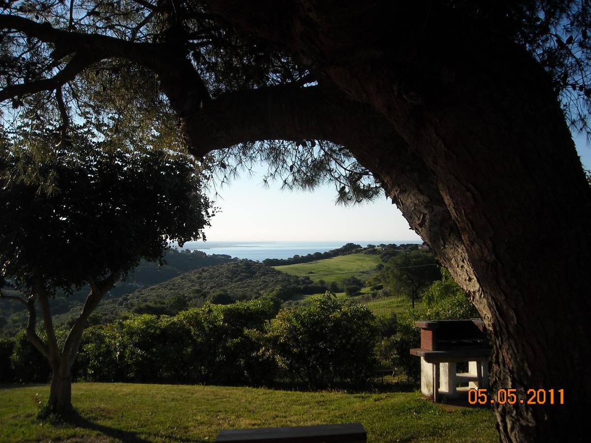 Bed&Breakfast La Volpe e L'Uva Santa Marinella Extérieur photo