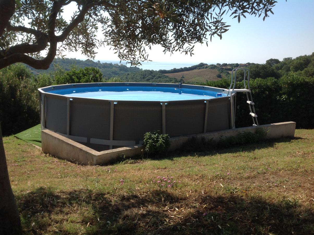 Bed&Breakfast La Volpe e L'Uva Santa Marinella Extérieur photo